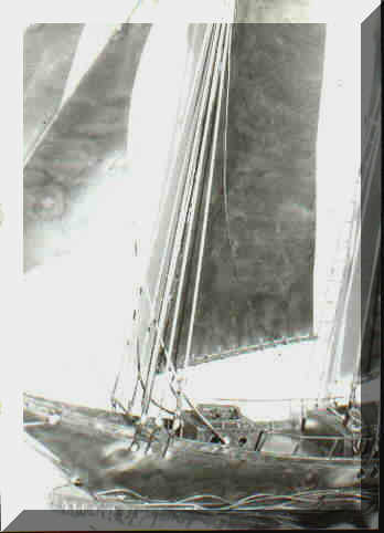 Schooner Detail